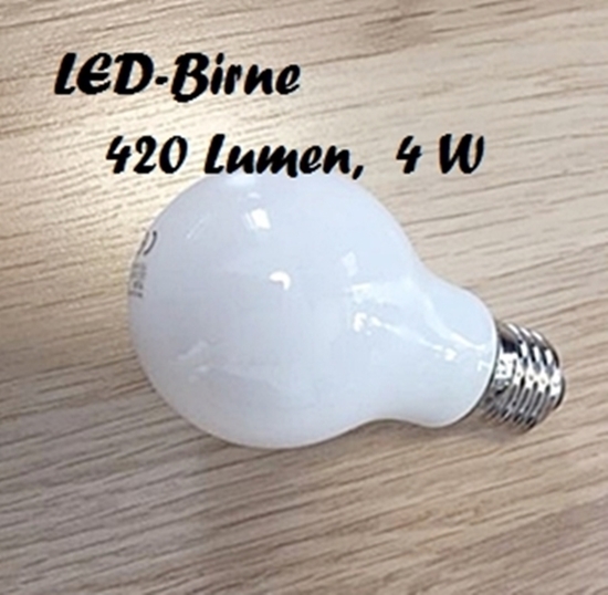 Hängelampe - Deckenlampe - PIRAT - 1- oder 2-flammig - auch LED - mit/ohne Name