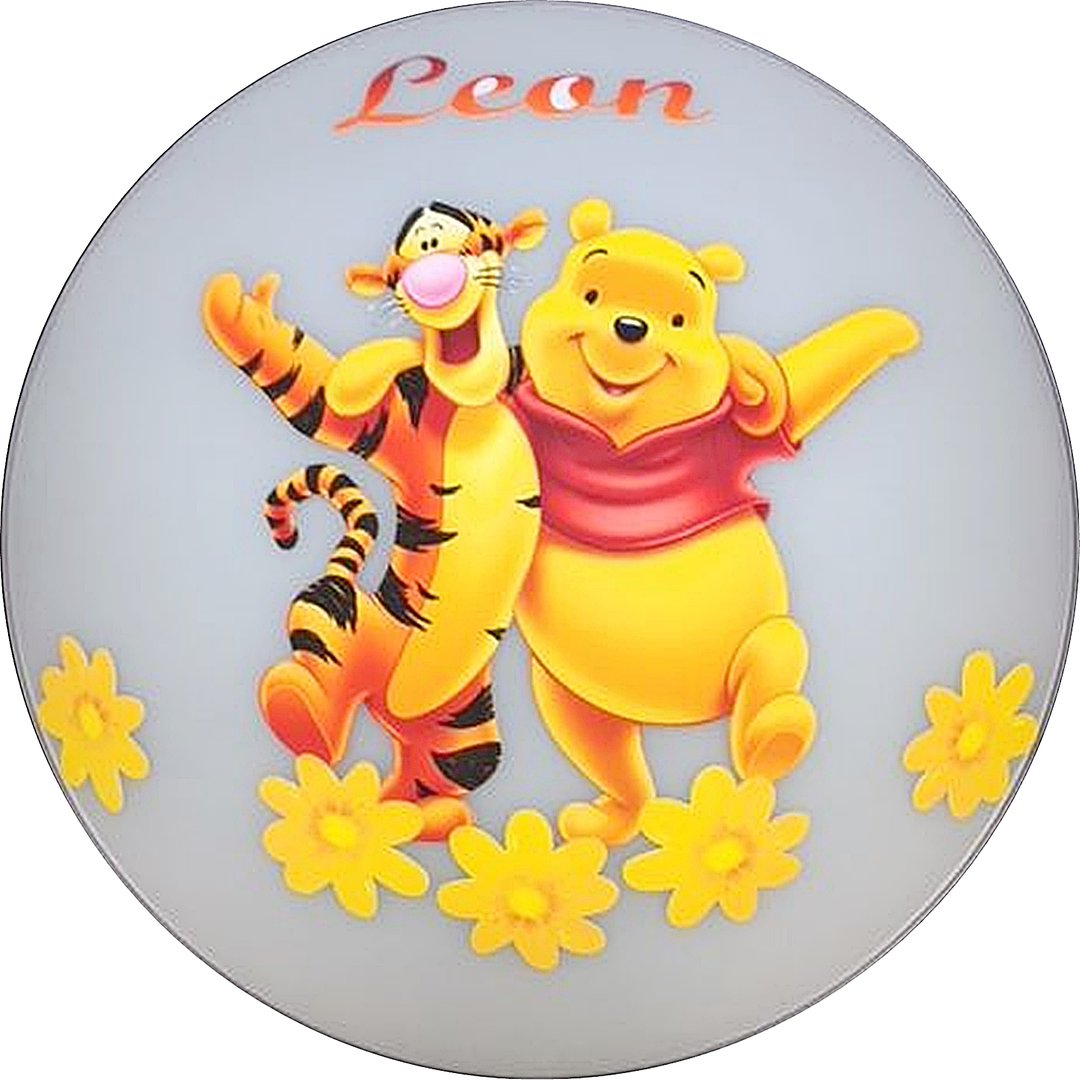 Deckenleuchte Lampe Pooh Bär  Baby  Tiger mit/ohne  Wunschname Deckenlampe 